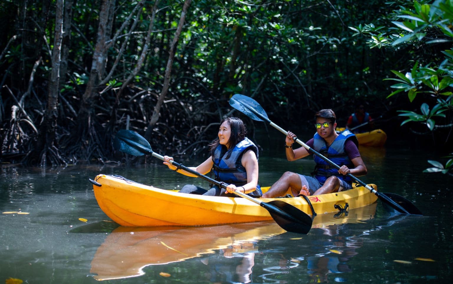 Image Treasure Bay Bintan 7